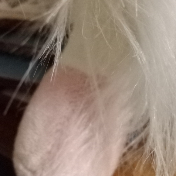 Pier 1 import Llama 16 " Unicorn plush new with a tag - Picture 8 of 13